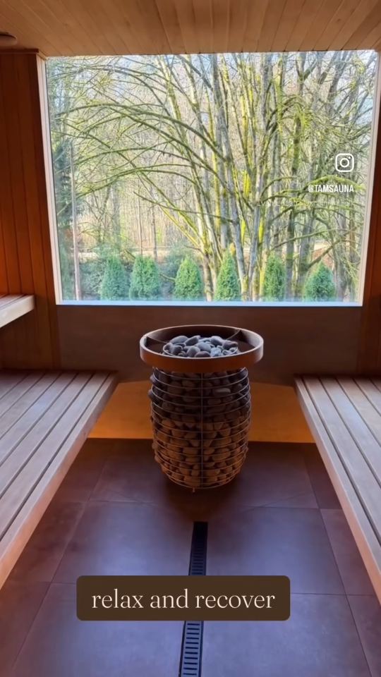 Sauna with a stone heater and a forest view